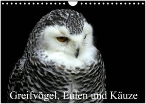 Buchcover Greifvögel, Eulen und Käuze (Wandkalender 2026 DIN A4 quer), CALVENDO Monatskalender | Arno Klatt | EAN 9783457995303 | ISBN 3-457-99530-3 | ISBN 978-3-457-99530-3