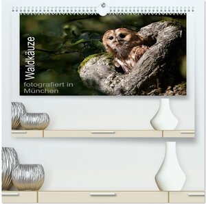 Buchcover Waldkäuze, fotografiert in München (hochwertiger Premium Wandkalender 2026 DIN A2 quer), Kunstdruck in Hochglanz | Klaus Buchmann, www.klaus-buchmann.de | EAN 9783457995952 | ISBN 3-457-99595-8 | ISBN 978-3-457-99595-2
