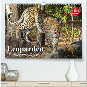 Buchcover Leoparden. Elegante Jäger (hochwertiger Premium Wandkalender 2026 DIN A2 quer), Kunstdruck in Hochglanz | Elisabeth Stanzer | EAN 9783457995983 | ISBN 3-457-99598-2 | ISBN 978-3-457-99598-3