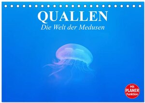 Buchcover Quallen. Die Welt der Medusen (Tischkalender 2026 DIN A5 quer), CALVENDO Monatskalender | Elisabeth Stanzer | EAN 9783457996164 | ISBN 3-457-99616-4 | ISBN 978-3-457-99616-4