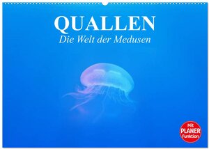 Buchcover Quallen. Die Welt der Medusen (Wandkalender 2026 DIN A2 quer), CALVENDO Monatskalender | Elisabeth Stanzer | EAN 9783457996775 | ISBN 3-457-99677-6 | ISBN 978-3-457-99677-5