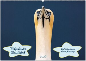 Buchcover Helgoländer Basstölpel 2026 (Wandkalender 2026 DIN A2 quer), CALVENDO Monatskalender | Annett Mirsberger | EAN 9783457997796 | ISBN 3-457-99779-9 | ISBN 978-3-457-99779-6