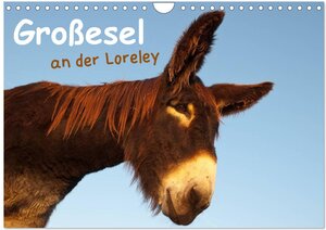 Buchcover Großesel an der Loreley (Wandkalender 2026 DIN A4 quer), CALVENDO Monatskalender | Meike Bölts | EAN 9783457997833 | ISBN 3-457-99783-7 | ISBN 978-3-457-99783-3