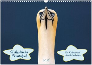 Buchcover Helgoländer Basstölpel 2026 (Wandkalender 2026 DIN A3 quer), CALVENDO Monatskalender | Annett Mirsberger | EAN 9783457998229 | ISBN 3-457-99822-1 | ISBN 978-3-457-99822-9