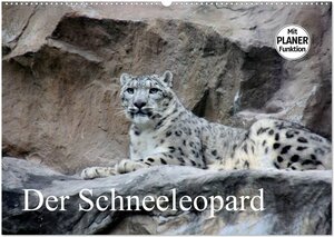 Buchcover Der Schneeleopard (Wandkalender 2026 DIN A2 quer), CALVENDO Monatskalender | Arno Klatt | EAN 9783457999745 | ISBN 3-457-99974-0 | ISBN 978-3-457-99974-5