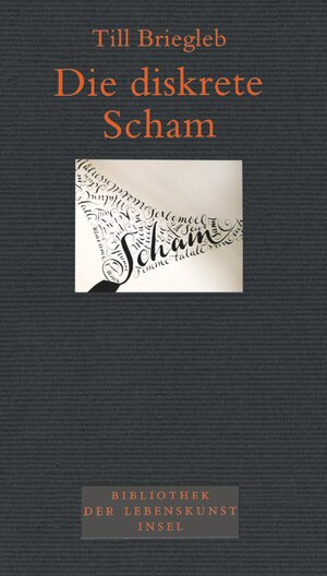 Buchcover Die diskrete Scham | Till Briegleb | EAN 9783458174387 | ISBN 3-458-17438-9 | ISBN 978-3-458-17438-7
