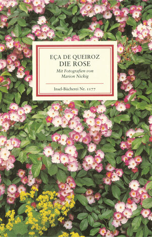 Buchcover Die Rose | José Maria Eça de Queiroz | EAN 9783458191773 | ISBN 3-458-19177-1 | ISBN 978-3-458-19177-3
