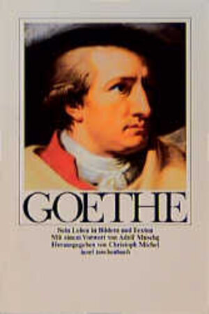 Buchcover Goethe  | EAN 9783458327004 | ISBN 3-458-32700-2 | ISBN 978-3-458-32700-4