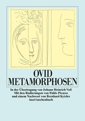 Metamorphosen (insel taschenbuch)