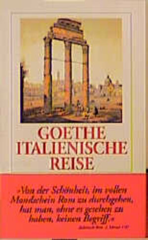 Buchcover Italienische Reise | Johann Wolfgang Goethe | EAN 9783458339892 | ISBN 3-458-33989-2 | ISBN 978-3-458-33989-2