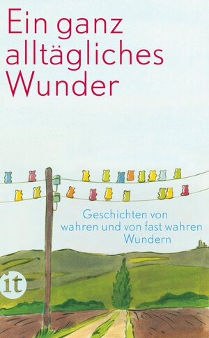 Buchcover Ein ganz alltägliches Wunder  | EAN 9783458360414 | ISBN 3-458-36041-7 | ISBN 978-3-458-36041-4