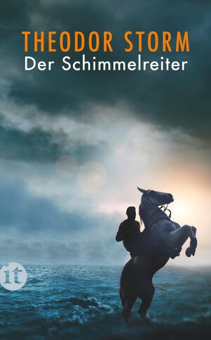 Buchcover Der Schimmelreiter | Theodor Storm | EAN 9783458362166 | ISBN 3-458-36216-9 | ISBN 978-3-458-36216-6