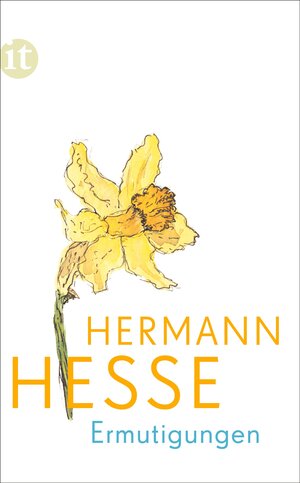 Buchcover Ermutigungen | Hermann Hesse | EAN 9783458362760 | ISBN 3-458-36276-2 | ISBN 978-3-458-36276-0