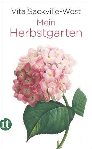Buchcover Mein Herbstgarten | Vita Sackville-West | EAN 9783458364368 | ISBN 3-458-36436-6 | ISBN 978-3-458-36436-8