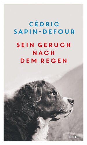 Buchcover Sein Geruch nach dem Regen | Cédric Sapin-Defour | EAN 9783458644460 | ISBN 3-458-64446-6 | ISBN 978-3-458-64446-0