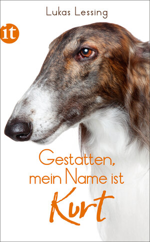 Buchcover Gestatten, mein Name ist Kurt | Lukas Lessing | EAN 9783458740698 | ISBN 3-458-74069-4 | ISBN 978-3-458-74069-8