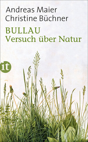 Buchcover Bullau | Andreas Maier | EAN 9783458751991 | ISBN 3-458-75199-8 | ISBN 978-3-458-75199-1