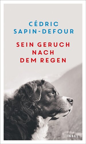 Buchcover Sein Geruch nach dem Regen | Cédric Sapin-Defour | EAN 9783458781363 | ISBN 3-458-78136-6 | ISBN 978-3-458-78136-3