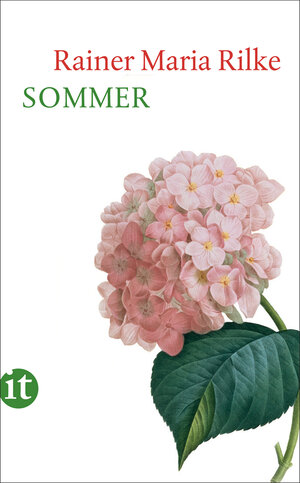 Buchcover Sommer | Rainer Maria Rilke | EAN 9783458781608 | ISBN 3-458-78160-9 | ISBN 978-3-458-78160-8