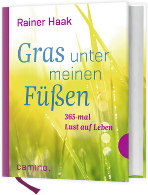 Buchcover Gras unter meinen Füßen | Rainer Haak | EAN 9783460500228 | ISBN 3-460-50022-0 | ISBN 978-3-460-50022-8
