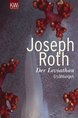 Der Leviathan: Erzählung: Erzählungen