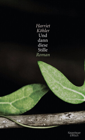 Buchcover Und dann diese Stille | Harriet Köhler | EAN 9783462041910 | ISBN 3-462-04191-6 | ISBN 978-3-462-04191-0