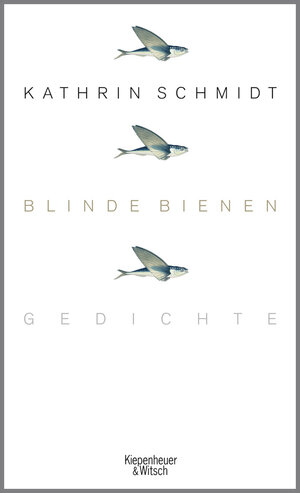 Buchcover Blinde Bienen | Kathrin Schmidt | EAN 9783462041934 | ISBN 3-462-04193-2 | ISBN 978-3-462-04193-4