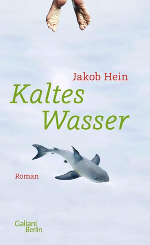 Buchcover Kaltes Wasser | Jakob Hein | EAN 9783462315592 | ISBN 3-462-31559-5 | ISBN 978-3-462-31559-2