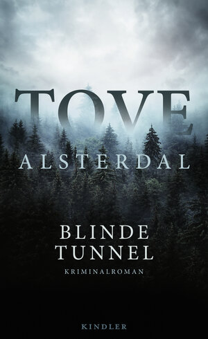 Buchcover Blinde Tunnel | Tove Alsterdal | EAN 9783463000503 | ISBN 3-463-00050-4 | ISBN 978-3-463-00050-3