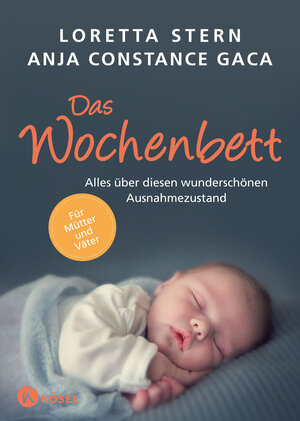 Buchcover Das Wochenbett | Loretta Stern | EAN 9783466310692 | ISBN 3-466-31069-5 | ISBN 978-3-466-31069-2