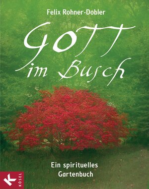 Buchcover Gott im Busch | Felix Rohner-Dobler | EAN 9783466370047 | ISBN 3-466-37004-3 | ISBN 978-3-466-37004-7