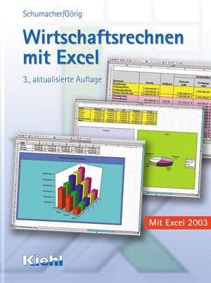 Wirtschaftsrechnen mit Excel 2003. (Lernmaterialien)