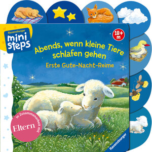 Buchcover Abends, wenn kleine Tiere schlafen gehen | Sabine Cuno | EAN 9783473316724 | ISBN 3-473-31672-5 | ISBN 978-3-473-31672-4