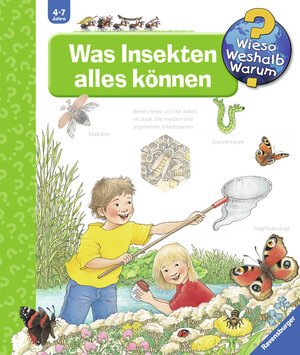 Buchcover Was Insekten alles können | Angela Weinhold | EAN 9783473327713 | ISBN 3-473-32771-9 | ISBN 978-3-473-32771-3