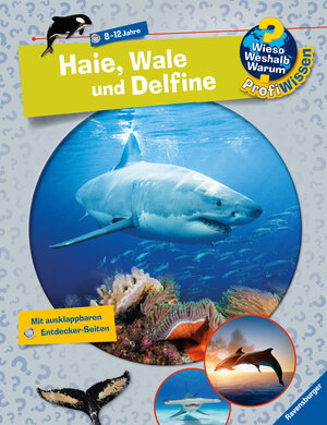 Buchcover Wieso? Weshalb? Warum? ProfiWissen, Band 24: Haie, Wale und Delfine | Dela Kienle | EAN 9783473329397 | ISBN 3-473-32939-8 | ISBN 978-3-473-32939-7