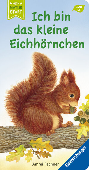Buchcover Ich bin das kleine Eichhörnchen | Amrei Fechner | EAN 9783473410668 | ISBN 3-473-41066-7 | ISBN 978-3-473-41066-8