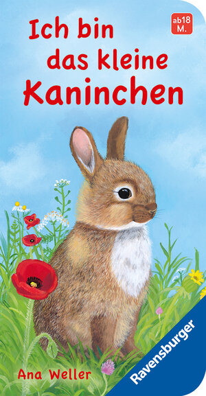 Buchcover Ich bin das kleine Kaninchen | Hannelore Dierks | EAN 9783473418206 | ISBN 3-473-41820-X | ISBN 978-3-473-41820-6
