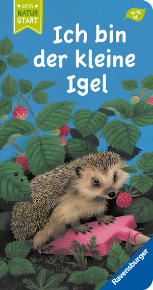 Buchcover Ich bin der kleine Igel | Gisela Stottele | EAN 9783473418435 | ISBN 3-473-41843-9 | ISBN 978-3-473-41843-5