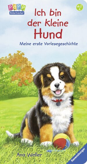 Buchcover Ich bin der kleine Hund | Hannelore Dierks | EAN 9783473435326 | ISBN 3-473-43532-5 | ISBN 978-3-473-43532-6