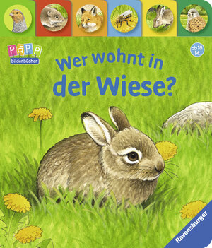 Buchcover Wer wohnt in der Wiese? | Susanne Gernhäuser | EAN 9783473435463 | ISBN 3-473-43546-5 | ISBN 978-3-473-43546-3