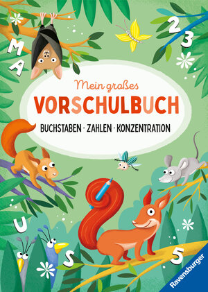 Buchcover Mein großes Vorschulbuch: Buchstaben Zahlen Konzentration | Kirstin Jebautzke | EAN 9783473488919 | ISBN 3-473-48891-7 | ISBN 978-3-473-48891-9