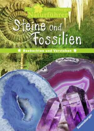 Buchcover Steine und Fossilien  | EAN 9783473552559 | ISBN 3-473-55255-0 | ISBN 978-3-473-55255-9