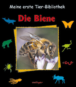 Buchcover Die Biene | Paul Starosta | EAN 9783480206490 | ISBN 3-480-20649-2 | ISBN 978-3-480-20649-0