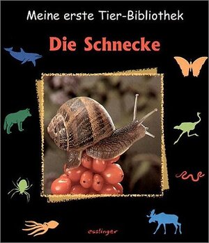 Buchcover Die Schnecke | Paul Starosta | EAN 9783480218110 | ISBN 3-480-21811-3 | ISBN 978-3-480-21811-0