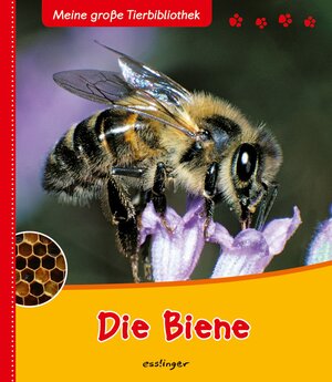 Buchcover Meine große Tierbibliothek: Die Biene | Paul Starosta | EAN 9783480224074 | ISBN 3-480-22407-5 | ISBN 978-3-480-22407-4