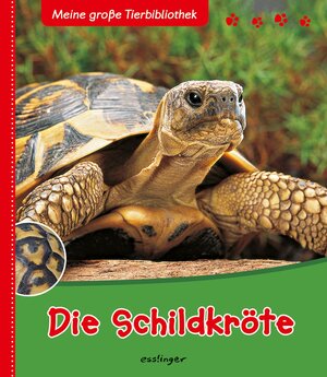 Buchcover Meine große Tierbibliothek: Die Schildkröte | Paul Starosta | EAN 9783480224623 | ISBN 3-480-22462-8 | ISBN 978-3-480-22462-3