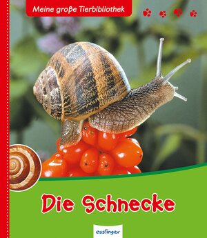 Buchcover Meine große Tierbibliothek: Die Schnecke | Paul Starosta | EAN 9783480225637 | ISBN 3-480-22563-2 | ISBN 978-3-480-22563-7