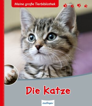 Buchcover Meine große Tierbibliothek: Die Katze | Stéphane Frattini | EAN 9783480226368 | ISBN 3-480-22636-1 | ISBN 978-3-480-22636-8