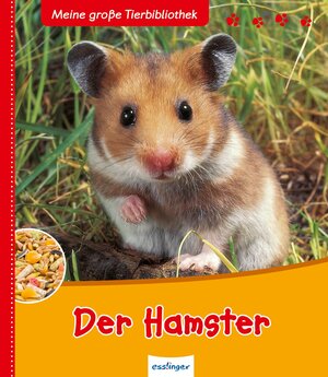 Buchcover Meine große Tierbibliothek: Der Hamster | Paul Starosta | EAN 9783480228287 | ISBN 3-480-22828-3 | ISBN 978-3-480-22828-7