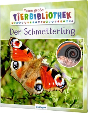 Buchcover Meine große Tierbibliothek: Der Schmetterling | Valérie Tracqui | EAN 9783480236206 | ISBN 3-480-23620-0 | ISBN 978-3-480-23620-6